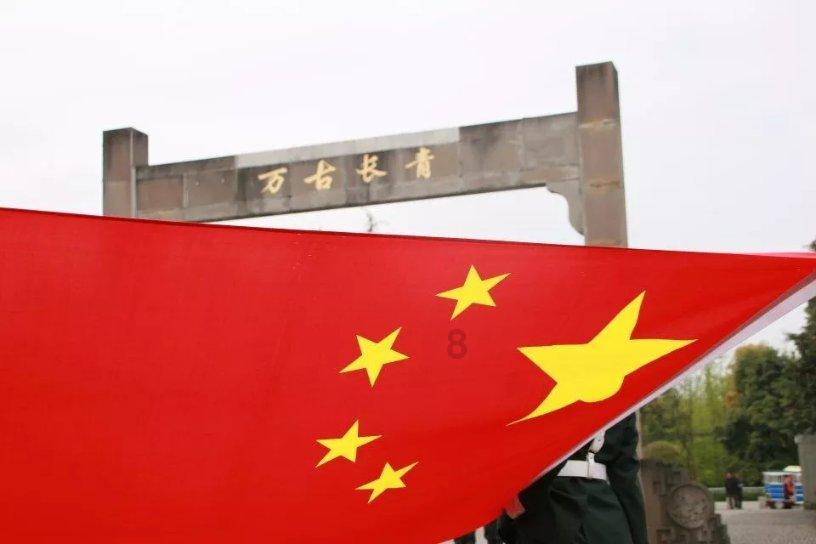 森系丛林
